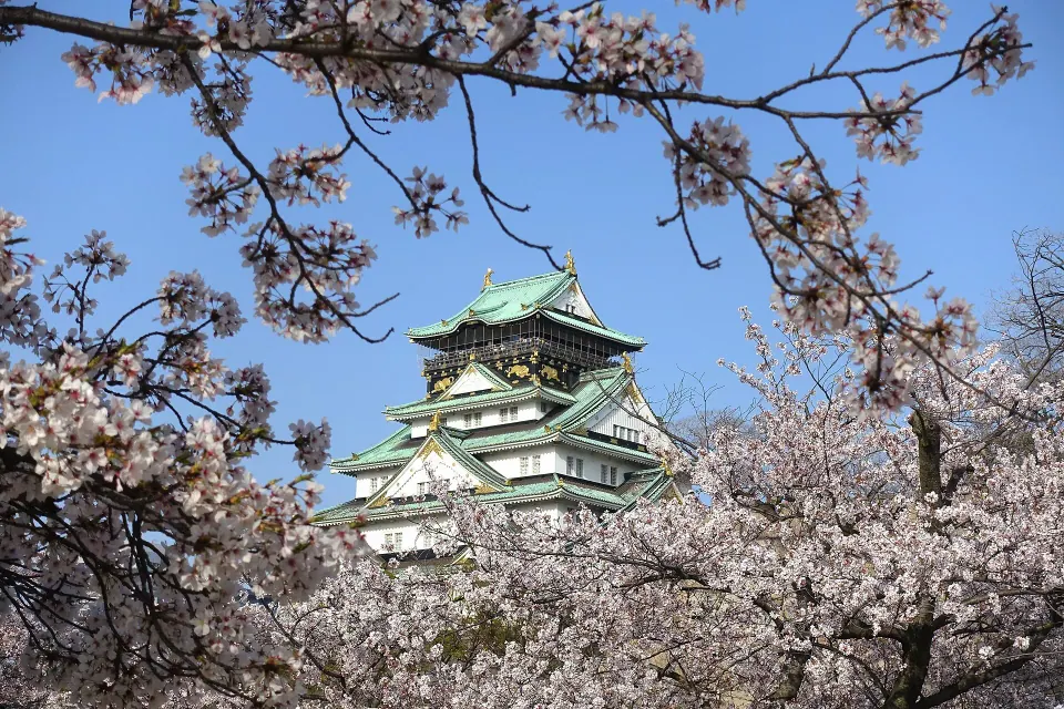 Osaka 6