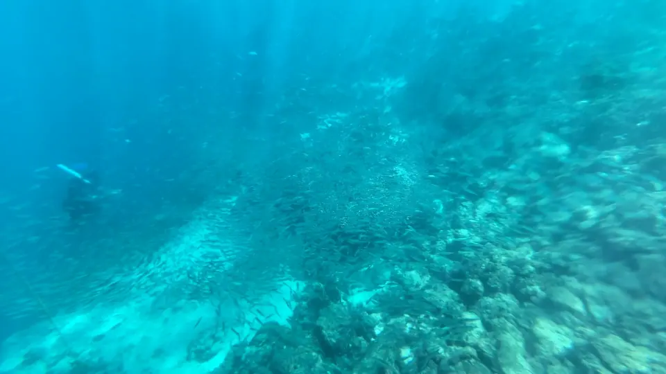 Moalboal – Panagsama Beach