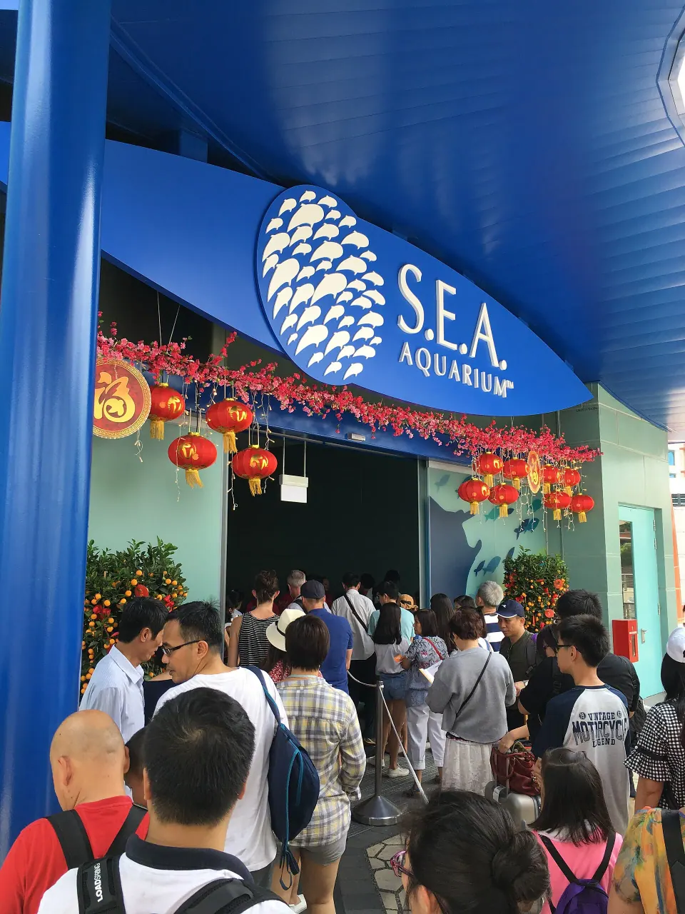 Singapore Oceanarium (formerly S.E.A. Aquarium)