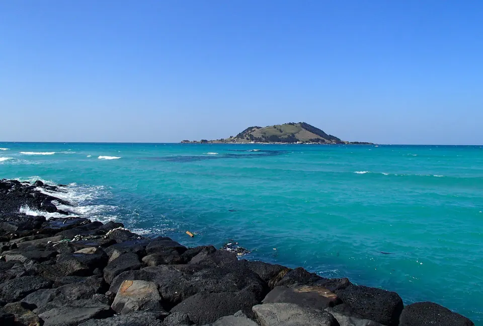 Jeju 7