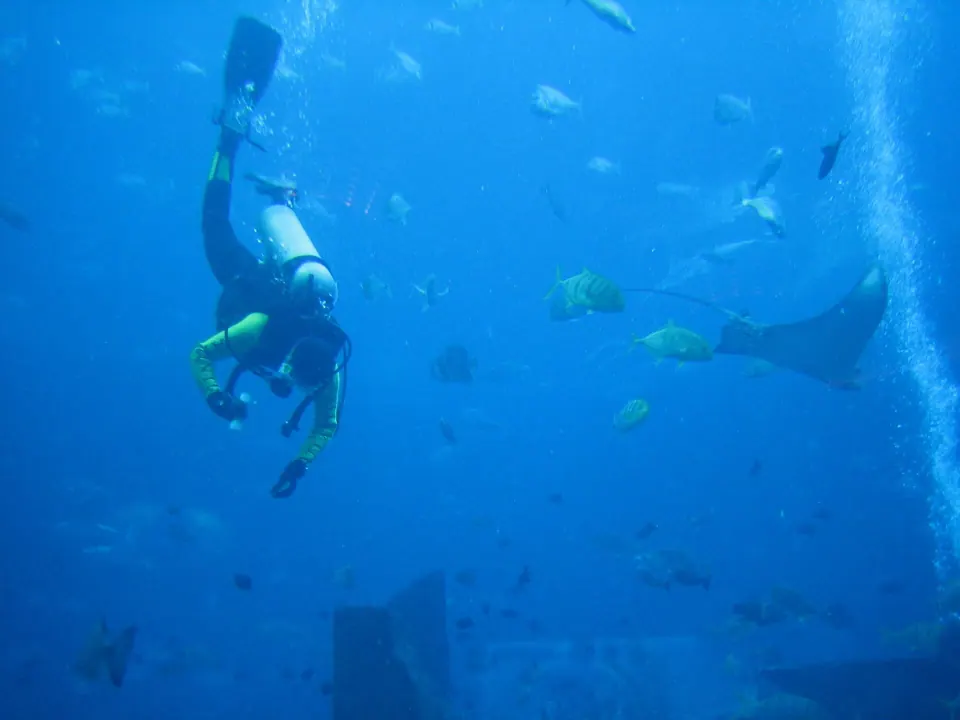 Dubai Aquarium