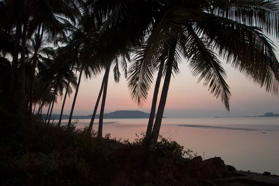Goa 9