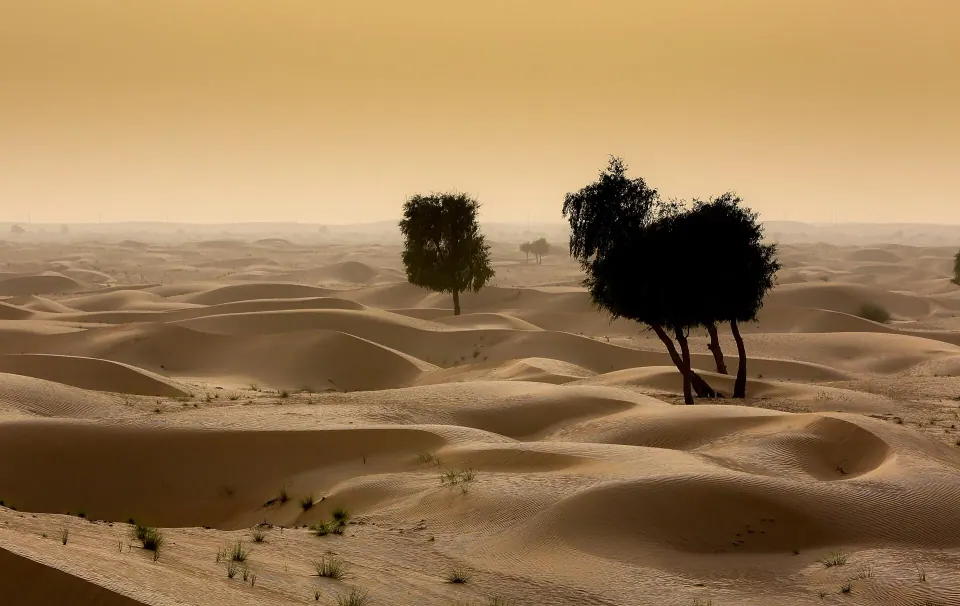 Dubai 8