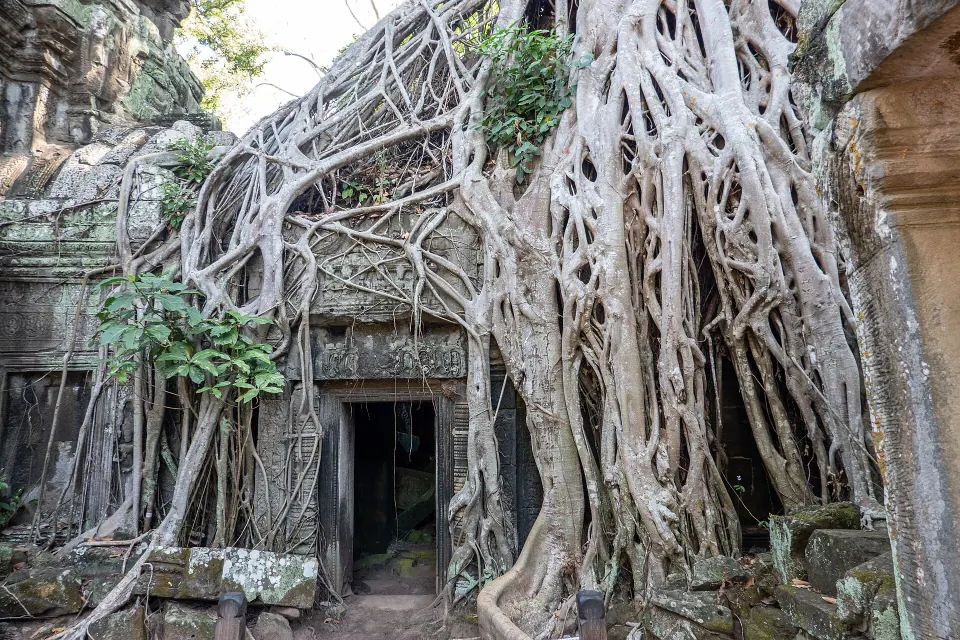 Siem Reap 9