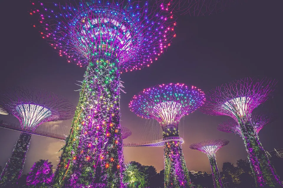 Singapore 7