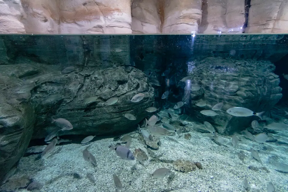 Istanbul Aquarium