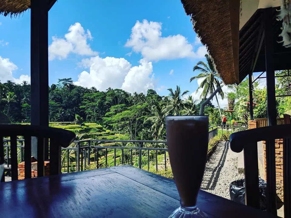 Tegallalang Rice Terrace