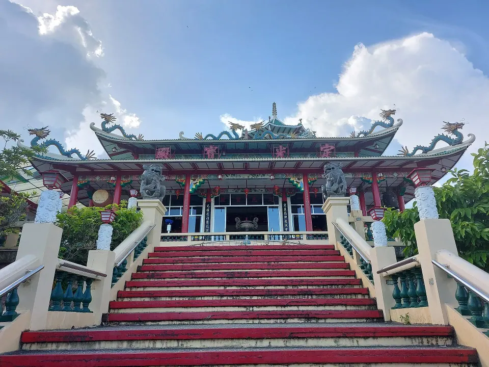 Cebu 8